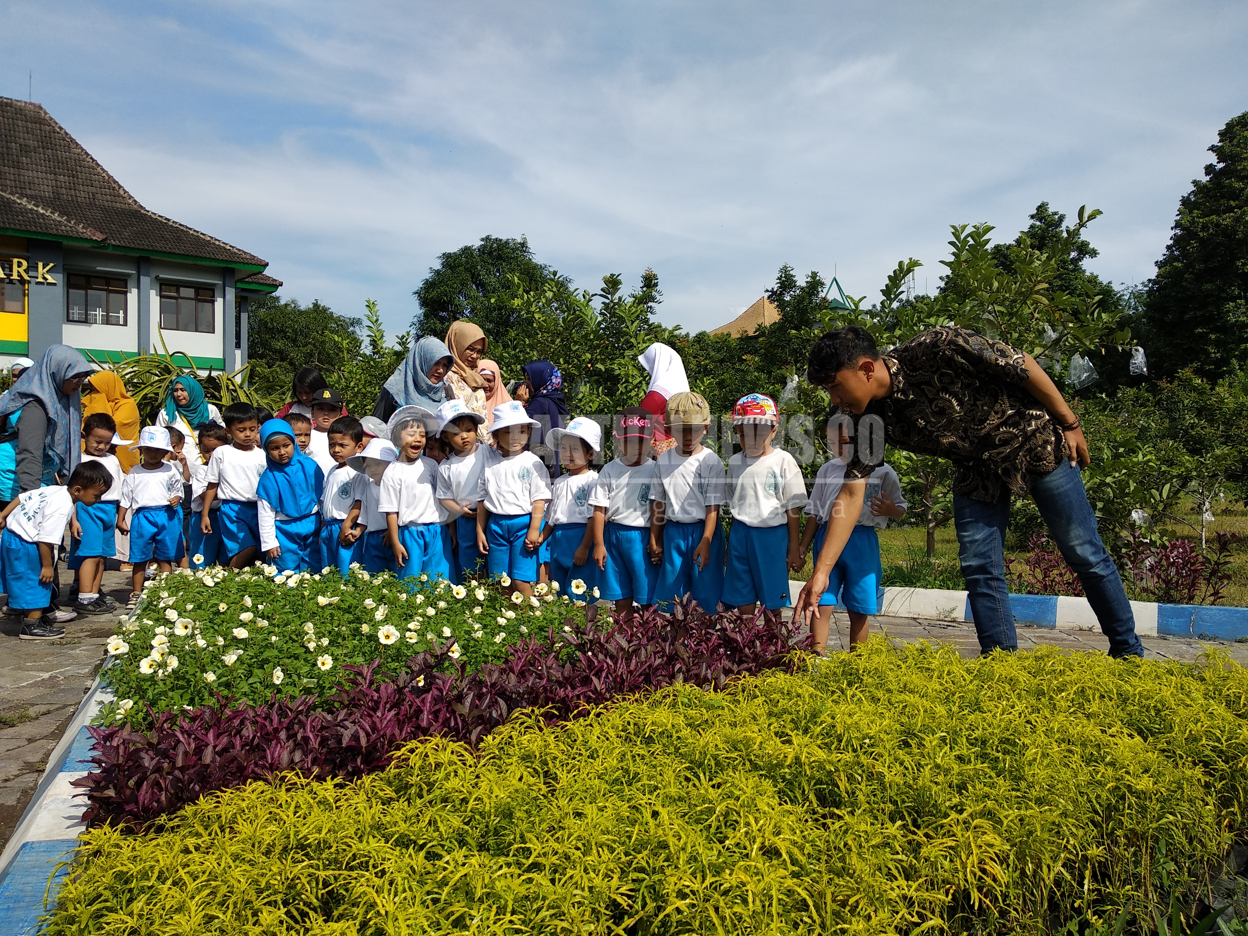 Detail Gambar Tanaman Bunga Untuk Anak Tk Nomer 24