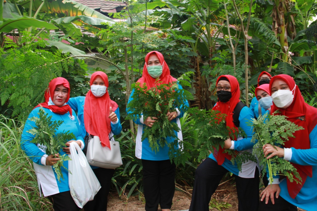 Detail Gambar Tanaman Obat Di Kepulauan Seribu Nomer 28