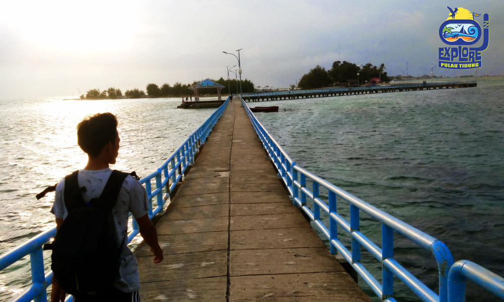 Detail Gambar Tanaman Obat Di Kepulauan Seribu Nomer 38