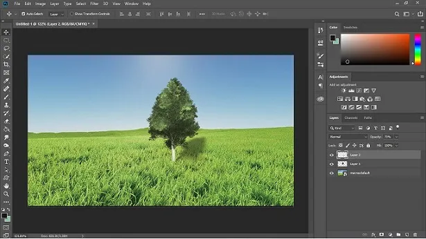 Detail Gambar Tanaman Tampak Atas Untuk Desain Di Photoshop Nomer 9