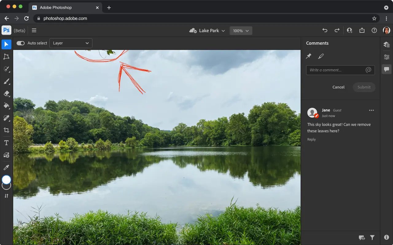 Detail Gambar Tanaman Tampak Atas Untuk Desain Di Photoshop Nomer 19