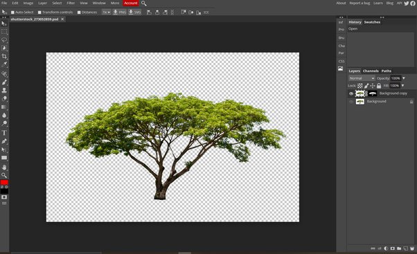 Detail Gambar Tanaman Tampak Atas Untuk Desain Di Photoshop Nomer 21