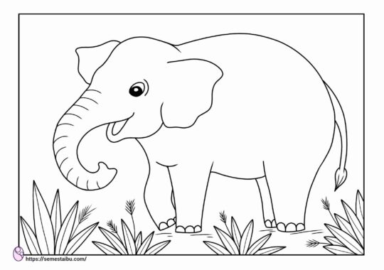 Detail Gambar Tanpa Warna Untuk Anak Tk Gajah Nomer 2