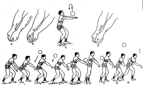 Detail Gambar Teknik Passing Bawah Bola Voli Nomer 13