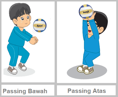 Detail Gambar Teknik Passing Bawah Bola Voli Nomer 15