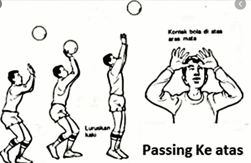 Detail Gambar Teknik Passing Bawah Bola Voli Nomer 4