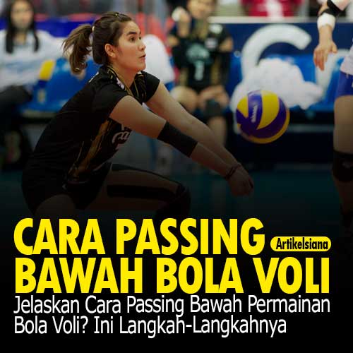 Download Gambar Teknik Passing Bawah Bola Voli Nomer 37