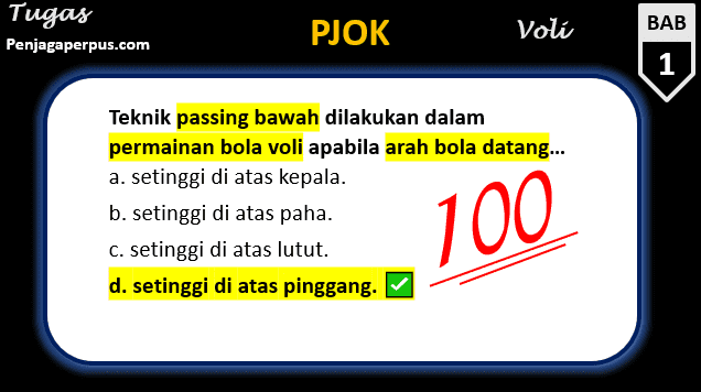 Detail Gambar Teknik Passing Bawah Bola Voli Nomer 47