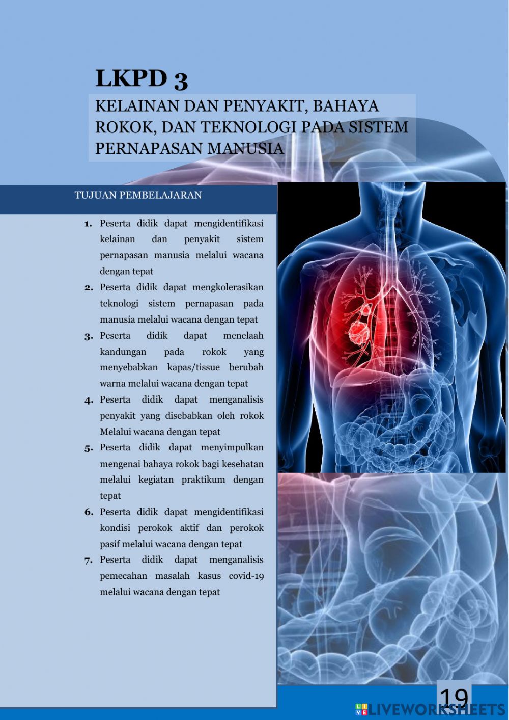 Detail Gambar Teknologi Sistem Penapasan Nomer 25