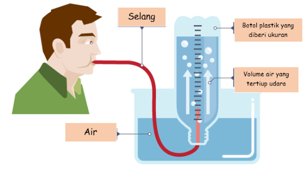 Detail Gambar Teknologi Sistem Penapasan Nomer 4