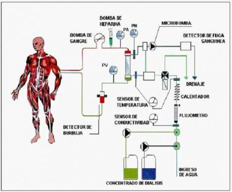 Detail Gambar Teknologi Sistem Penapasan Nomer 30