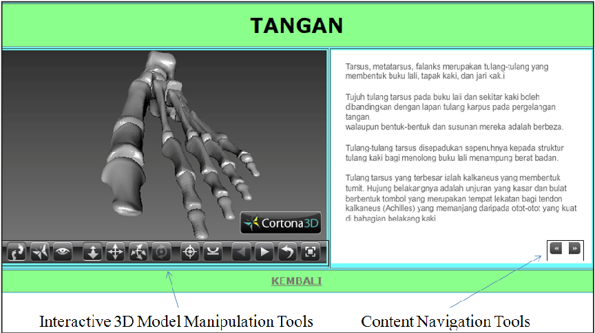 Detail Gambar Telapak Tangan 3d Nomer 29