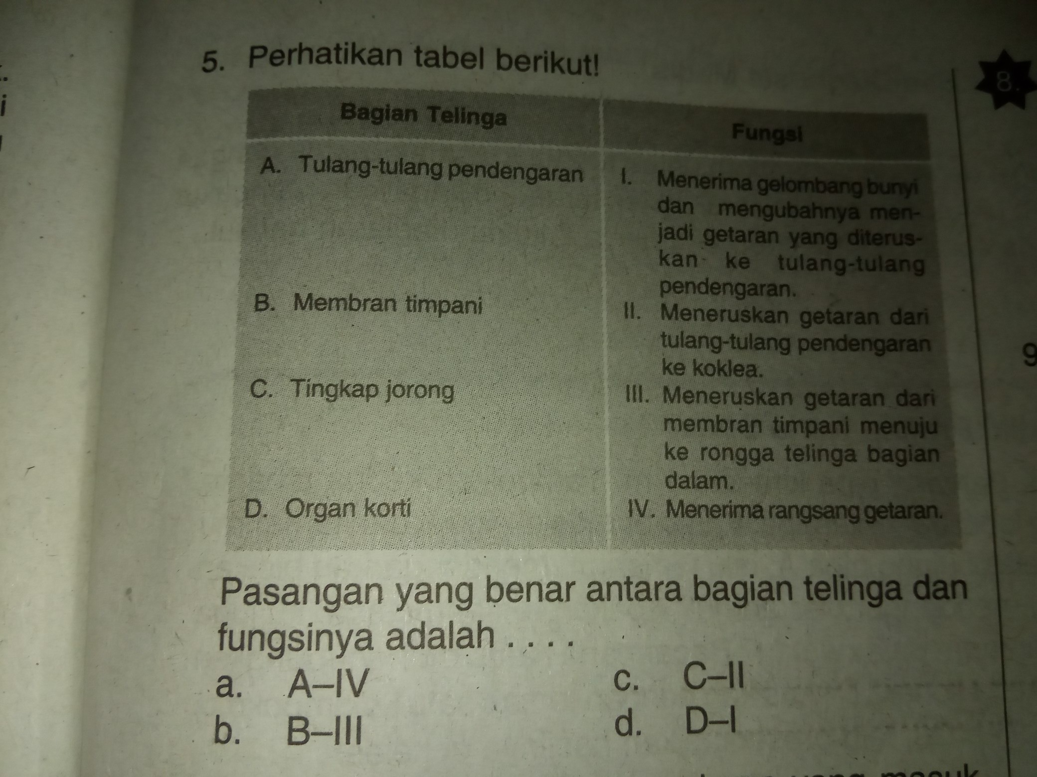 Detail Gambar Telinga Dan Fungsinya Nomer 38