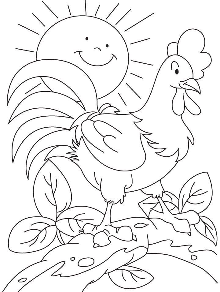 Detail Gambar Telur Ayam Untuk Mewarna Nomer 9
