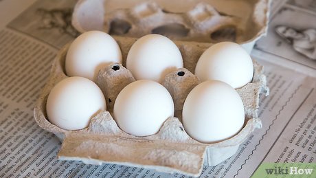 Detail Gambar Telur Ayam Untuk Mewarna Nomer 10