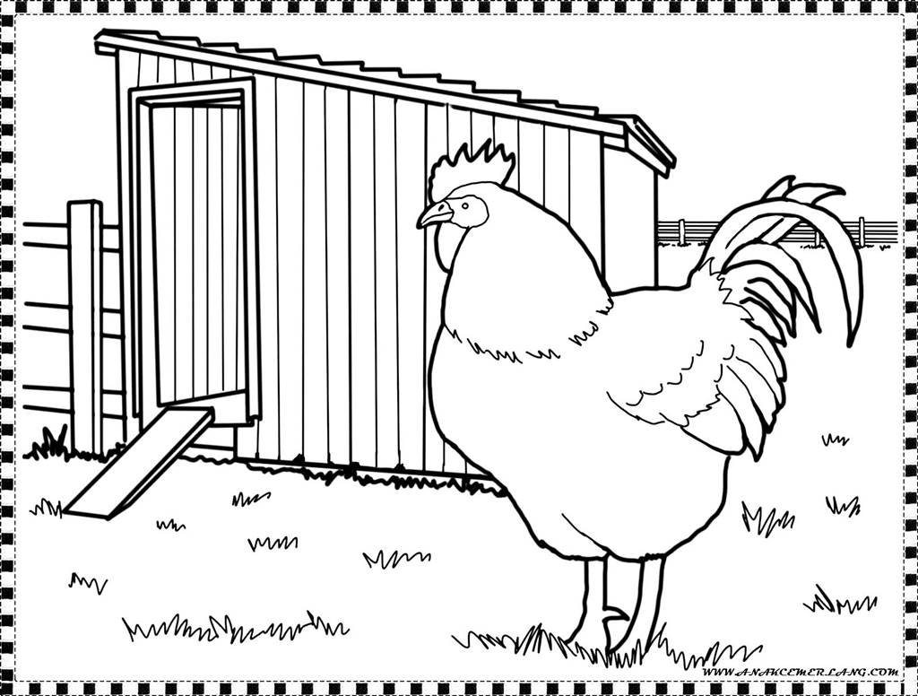 Detail Gambar Telur Ayam Untuk Mewarna Nomer 20
