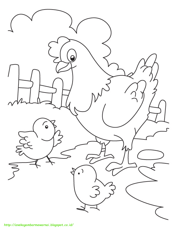 Detail Gambar Telur Ayam Untuk Mewarna Nomer 25