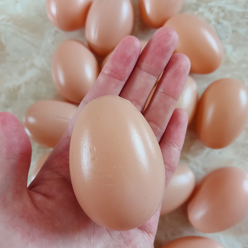 Detail Gambar Telur Ayam Untuk Mewarna Nomer 27