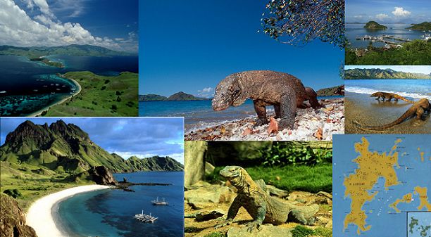 Detail Gambar Tempat Wisata Pulau Komodo Nomer 12