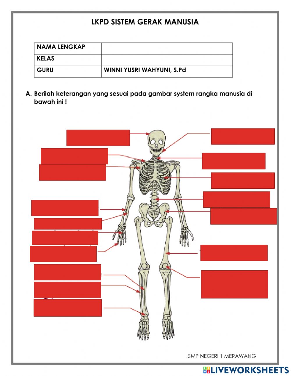 Detail Gambar Tengkorak Manusia Beserta Keterangannya Nomer 49