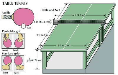 Detail Gambar Tenis Meja Beserta Ukurannya Nomer 20