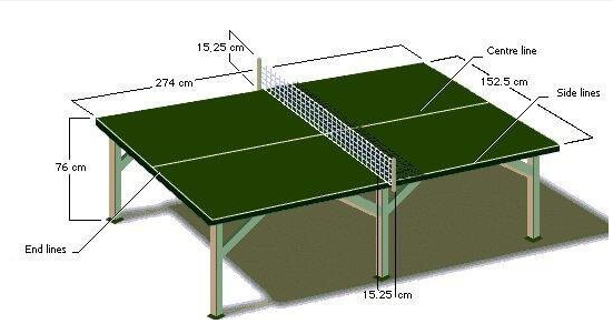 Detail Gambar Tenis Meja Beserta Ukurannya Nomer 5