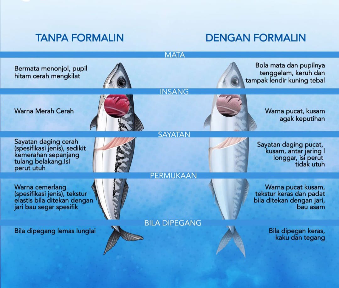 Detail Gambar Tentang Ciri Nomer 46