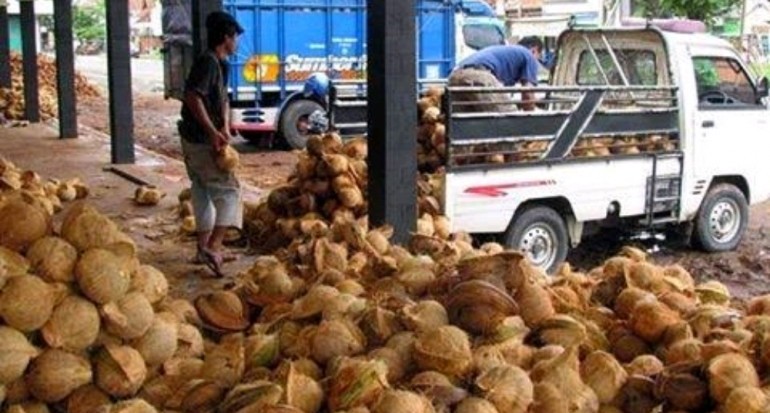 Detail Gambar Tepung Kelapa Nomer 40