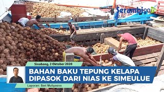 Detail Gambar Tepung Kelapa Nomer 46