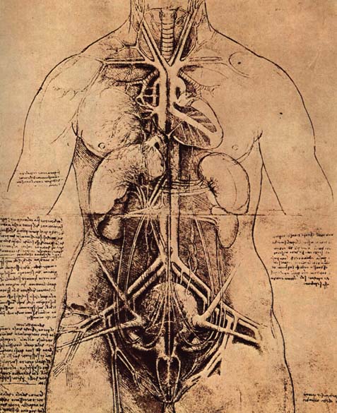 Detail Gambar Terapi Anatomi Penyakit Manusia Nomer 16
