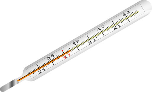 Detail Gambar Termometer Dan Fungsinya Nomer 8