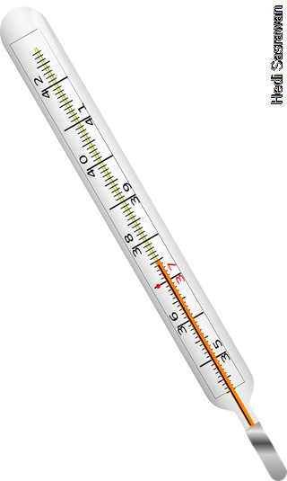 Detail Gambar Termometer Dan Fungsinya Nomer 9