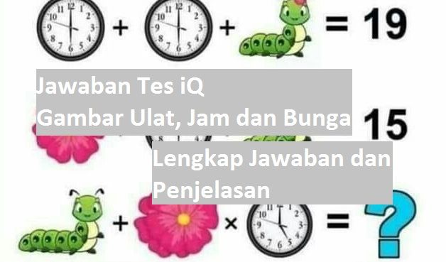 Detail Gambar Tes Iq Matematika Dan Jawabannya Nomer 30