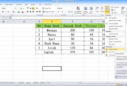Detail Gambar Tidak Bisa Diedit Excel Nomer 13