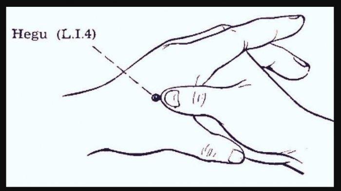 Detail Gambar Titik Akupuntur Nomer 18
