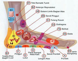 Detail Gambar Titik Akupuntur Nomer 31