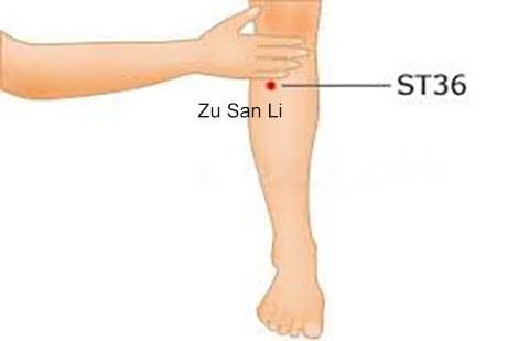 Detail Gambar Titik Akupuntur Perut Nomer 7