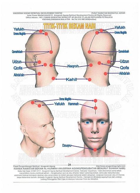 Detail Gambar Titik Bekam Nomer 3