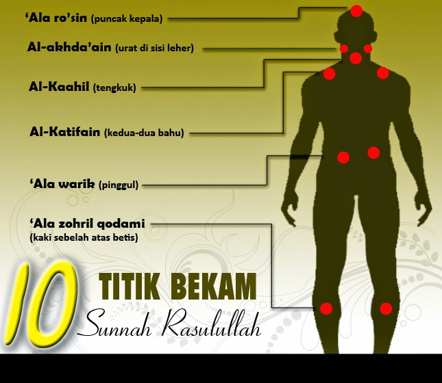 Detail Gambar Titik Bekam Nomer 4