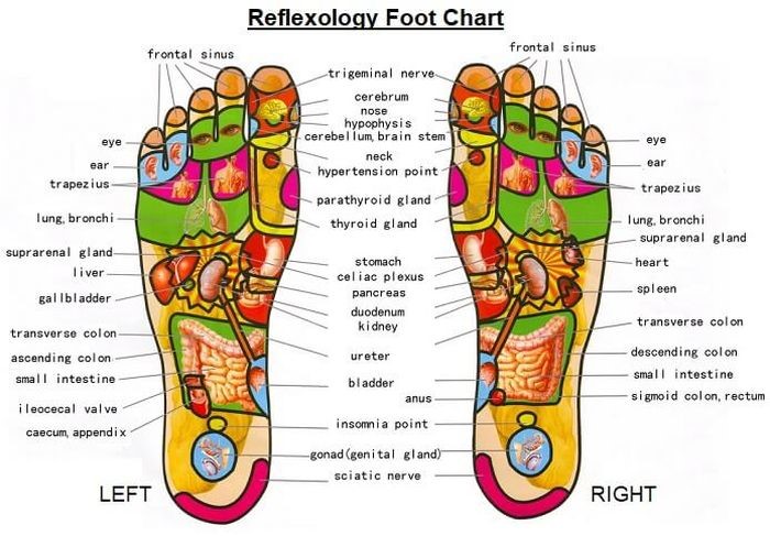 Detail Gambar Titik Refleksi Kaki Koleksi Nomer 9 detail-gambar-titik-refleksi-kaki-koleksi-nomer-9