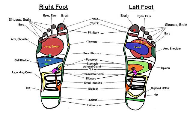 Detail Gambar Titik Refleksi Kaki Nomer 46