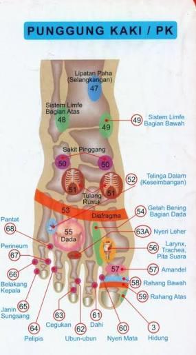 Detail Gambar Titik Syaraf Manusia Nomer 50