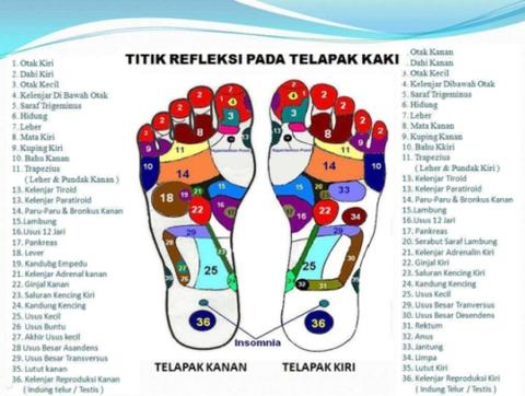 Detail Gambar Titik Syaraf Stroke Nomer 16