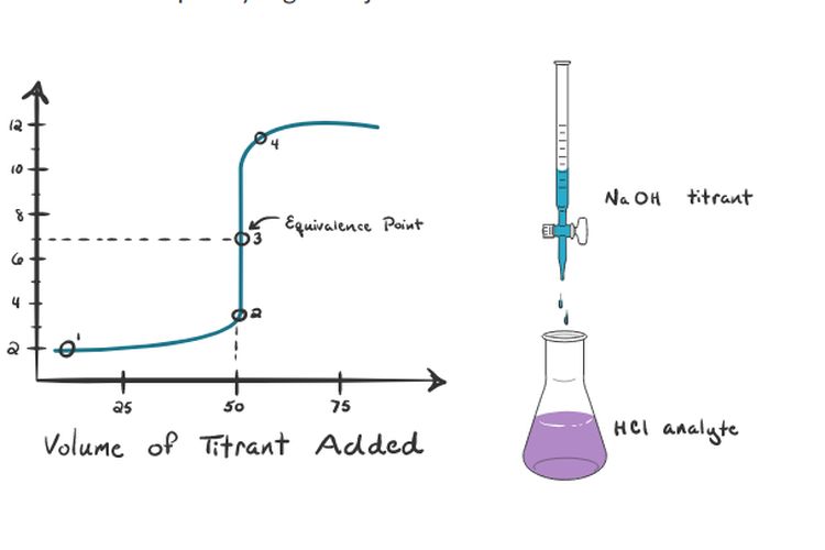 Detail Gambar Titrasi Asam Basa Nomer 4