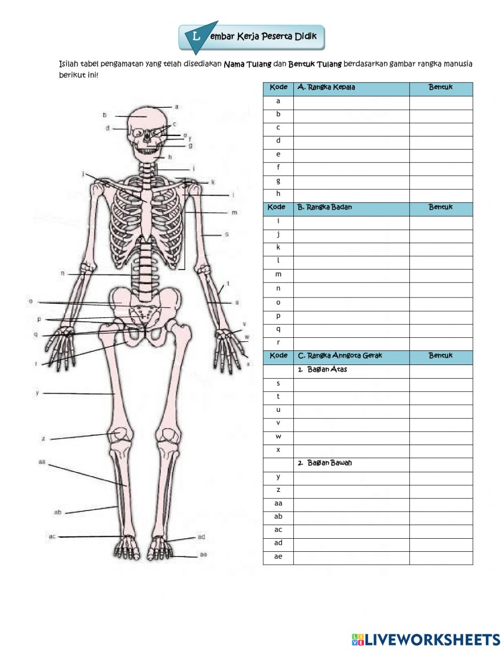 Detail Gambar Torso Manusia Nomer 48