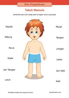 Detail Gambar Tubuh Manusia Anak Nomer 6