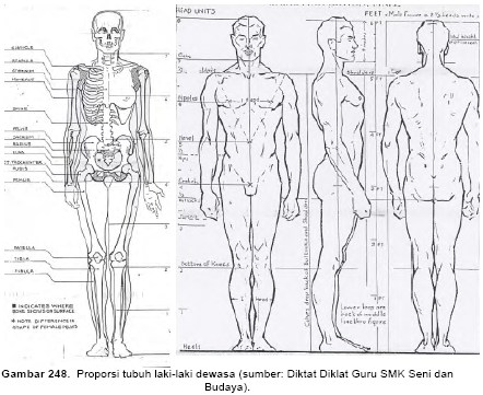 Detail Gambar Tubuh Manusia Tampak Depan Dan Belakang Nomer 3