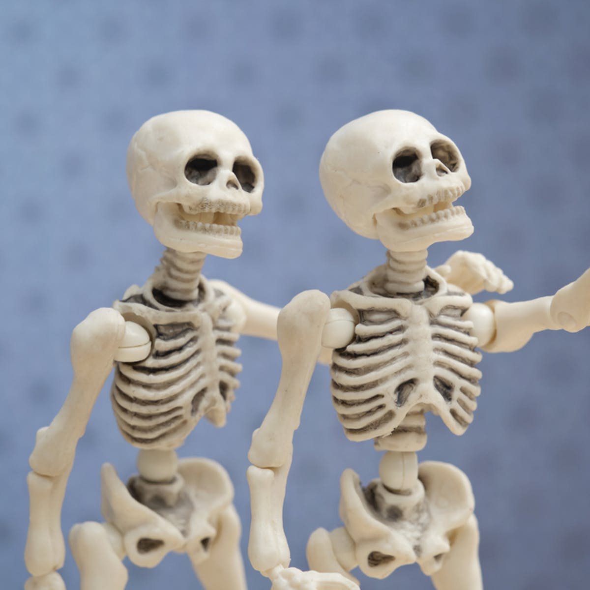 Detail Gambar Tulang Tengkorak Manusia Nomer 30