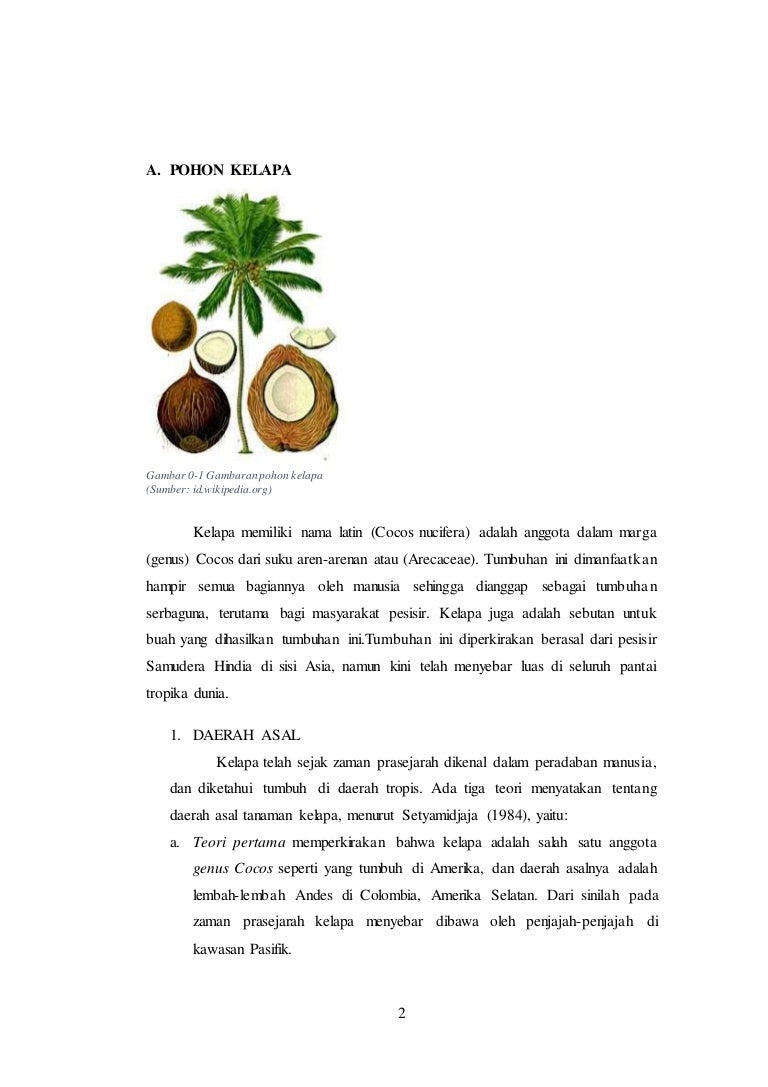 Detail Gambar Tumbuhan Alami Gambar Tumbuhan Pohon Kelapa Nomer 33