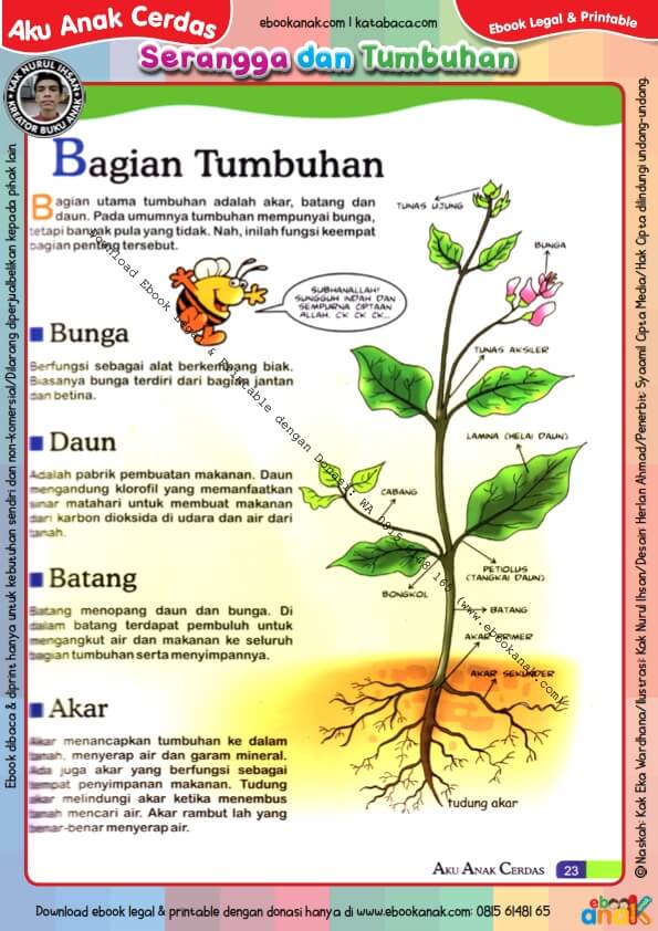 Detail Gambar Tumbuhan Dan Fungsinya Nomer 24